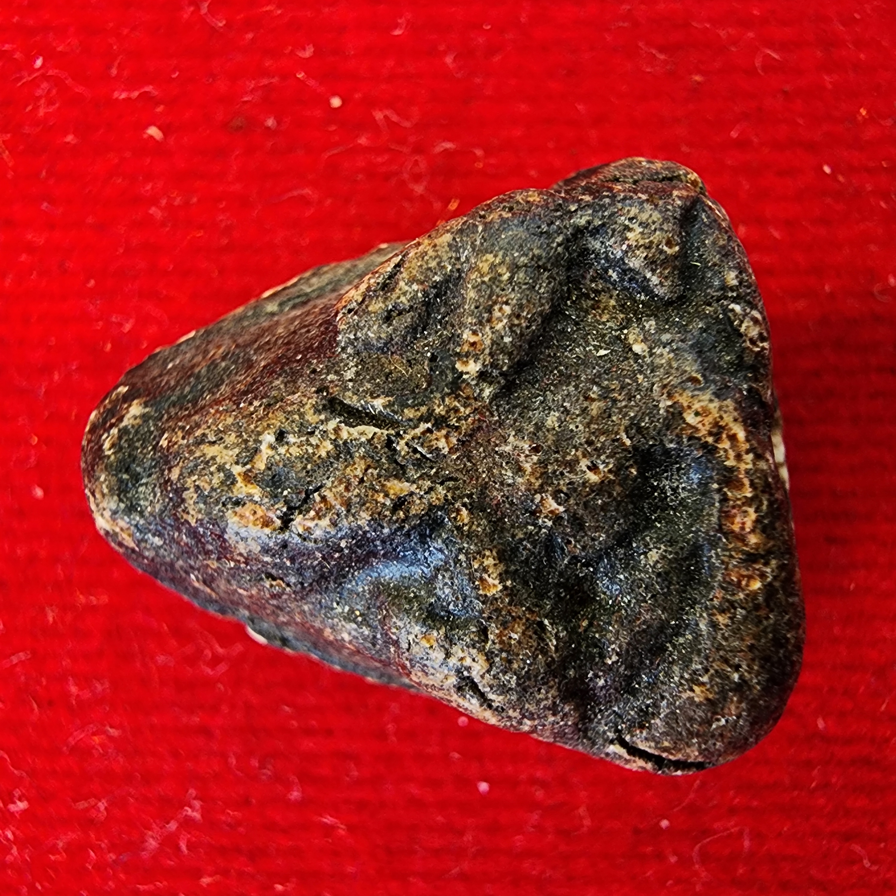 佛牌 Wat Pho 鬼骨粉末 闭眼模具复刻版